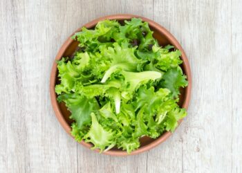 A Short Guide To Bolting Lettuce 5 Perfect Ways to safe