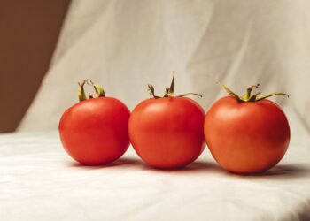 3 Tips For Harvesting Delicious Tomatoes In Your Home Garden