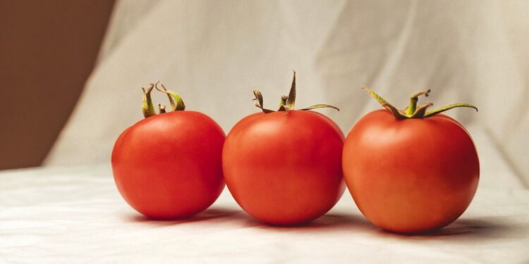 3 Tips For Harvesting Delicious Tomatoes In Your Home Garden