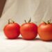 3 Tips For Harvesting Delicious Tomatoes In Your Home Garden