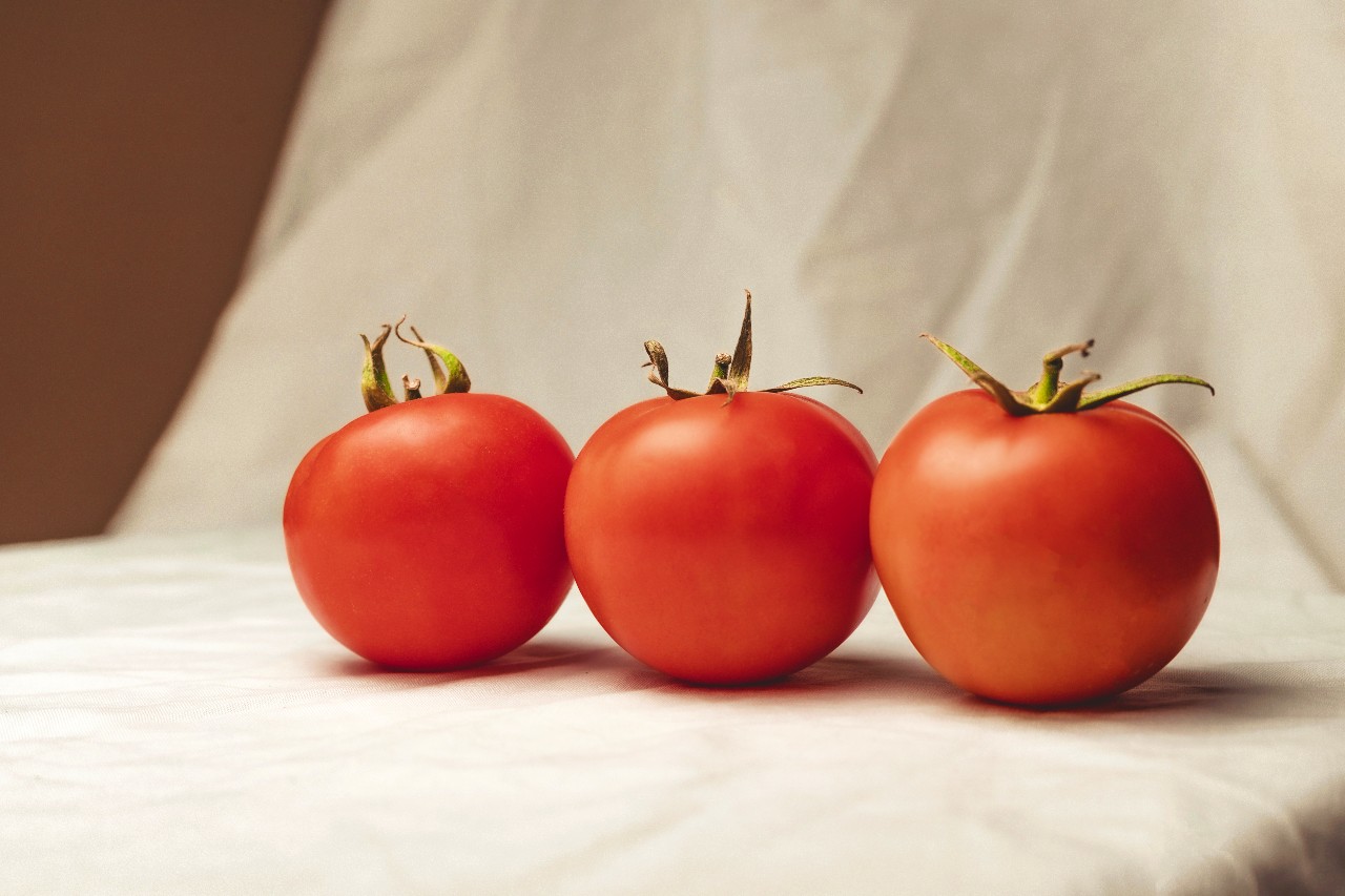 3 Tips For Harvesting Delicious Tomatoes In Your Home Garden Delicious Tomatoes Delicious Tomatoes