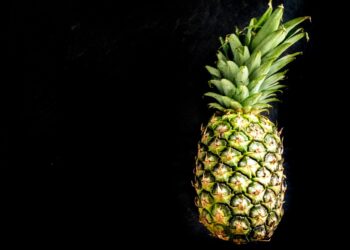 3 Tips For How To Grow A Pineapple Top Into An Entire New Plant
