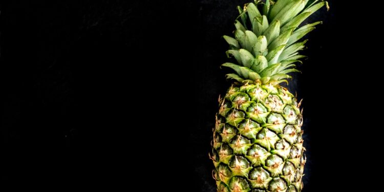 3 Tips For How To Grow A Pineapple Top Into An Entire New Plant