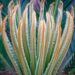 3 Easy Methods To Propagate Your Snake Plant Snake Plant 3 Easy Methods To Propagate Your Snake Plant