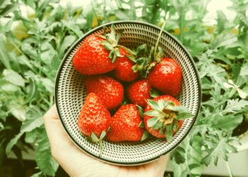 Strawberry Season: Here Are 10 Accurate Ways to Pick the Sweetest Strawberries