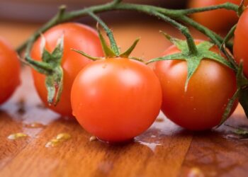 Why Your Tomatoes Are Splitting, Plus 3 Easy Tips for Preventing It