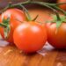 Why Your Tomatoes Are Splitting, Plus 3 Easy Tips for Preventing It