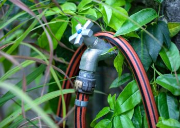 7 Simple Steps To Water Your Vegetable Garden Like A Pro