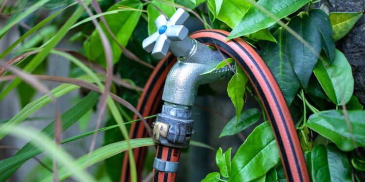 7 Simple Steps To Water Your Vegetable Garden Like A Pro