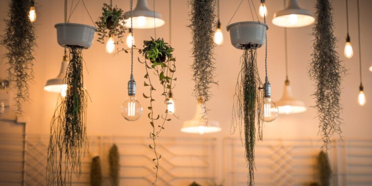 3 Best Opt For Pendant Lights Instead of Ceiling Lights for Maximum Impact