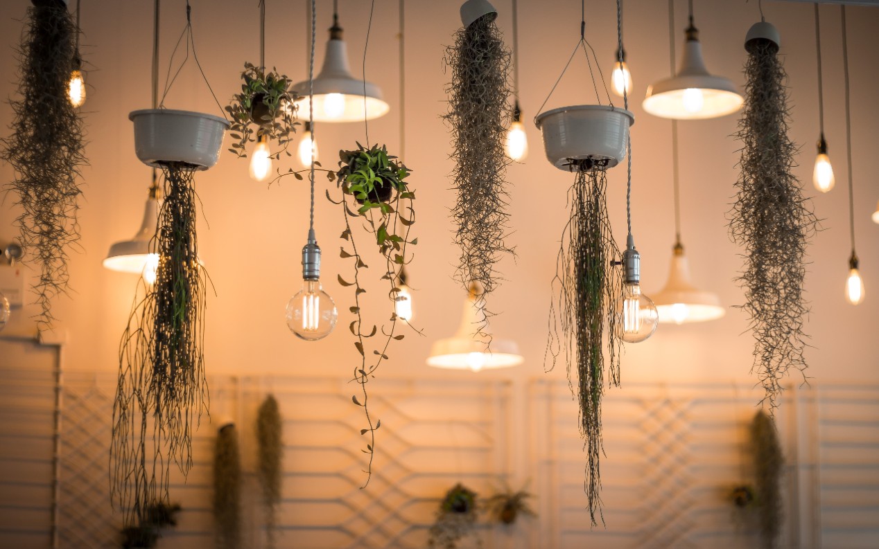 3 Best Opt For Pendant Lights Instead of Ceiling Lights for Maximum Impact pendant lights pendant lights