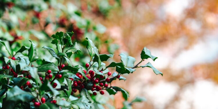 12 Plants You Should Be Pruning  for the safety of Garden