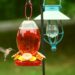 How To Clean A Bird Feeder In 5 Minutes Or Less Absolutely Bird Feeder How To Clean A Bird Feeder In 5 Minutes Or Less Absolutely