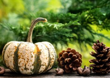 5 Reasons You Should Decorate With Fake Pumpkins