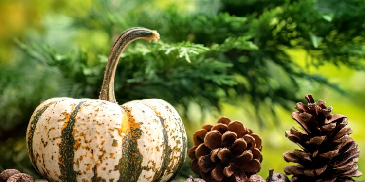 5 Reasons You Should Decorate With Fake Pumpkins