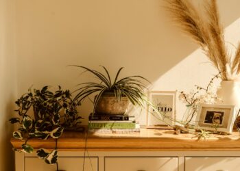 8 Easy Tips For Decorating With Fall Branches After The Leaves Have Fallen Off