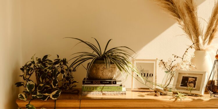 8 Easy Tips For Decorating With Fall Branches After The Leaves Have Fallen Off