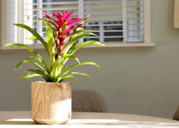 Building My Own Shutters And Planter Boxes With Weathered Wood look Impressive