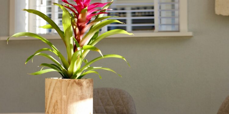 Building My Own Shutters And Planter Boxes With Weathered Wood look Impressive