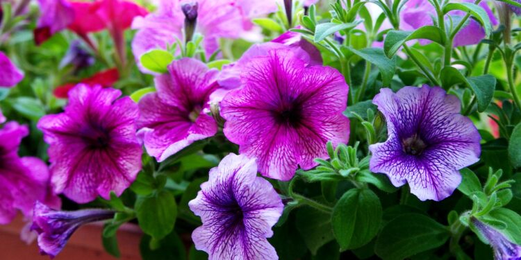 Spring Patio Refresh on a Budget with Tuesday Morning